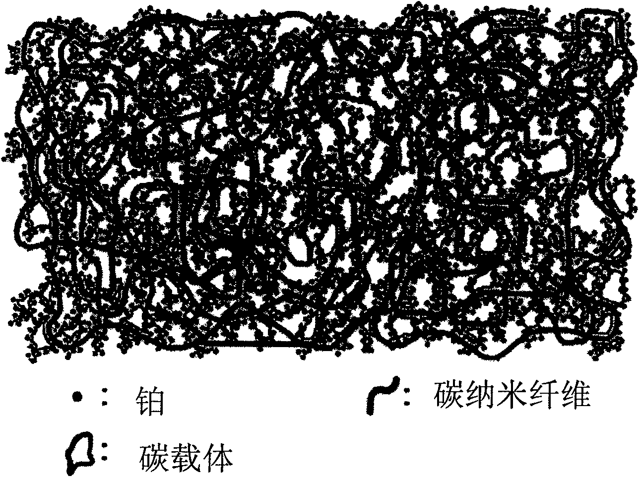 Electrode for polymer electrolyte membrane fuel cell and method for forming membrane-electrode assembly using the same