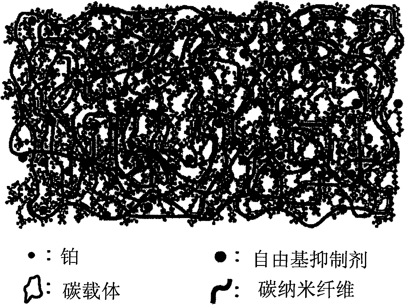 Electrode for polymer electrolyte membrane fuel cell and method for forming membrane-electrode assembly using the same