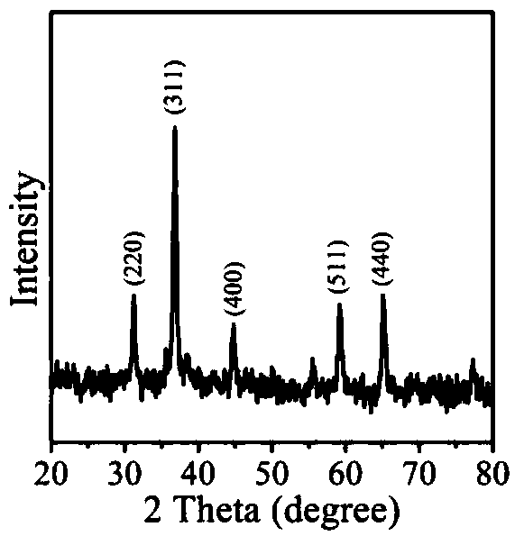 Cobalt tetroxide microbelt with high peroxidase-like activity and stability and preparation method thereof