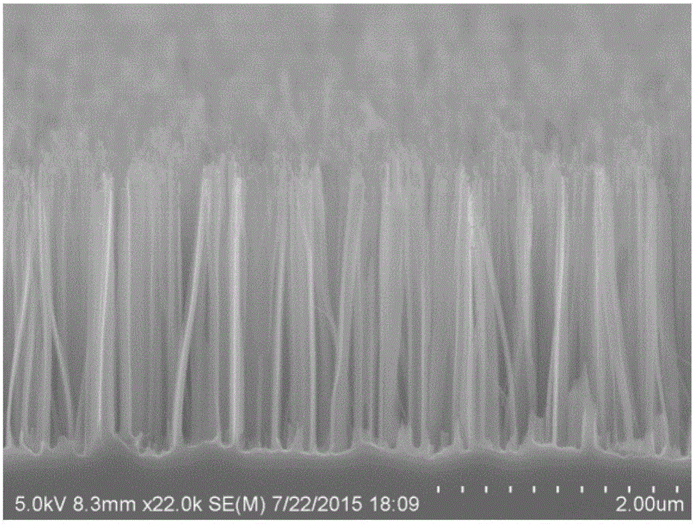 Optical control terahertz wave amplitude modulator based on silicon nanoneedle