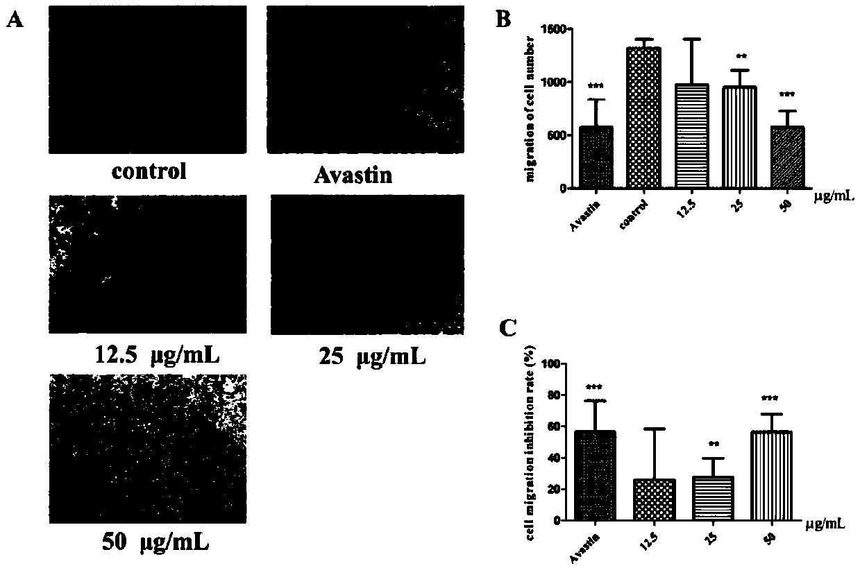 Application of lanostane-type triterpene