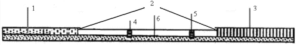 Fluorescent microsphere immunochromatography test paper strip for detecting clenbuterol hydrochloride residue, preparation method and applications thereof