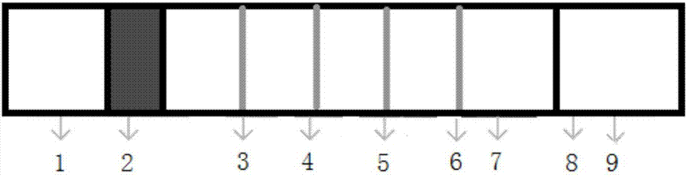 Multiple detection method for field screening of toxicogenic Pseudomonas aeruginosa