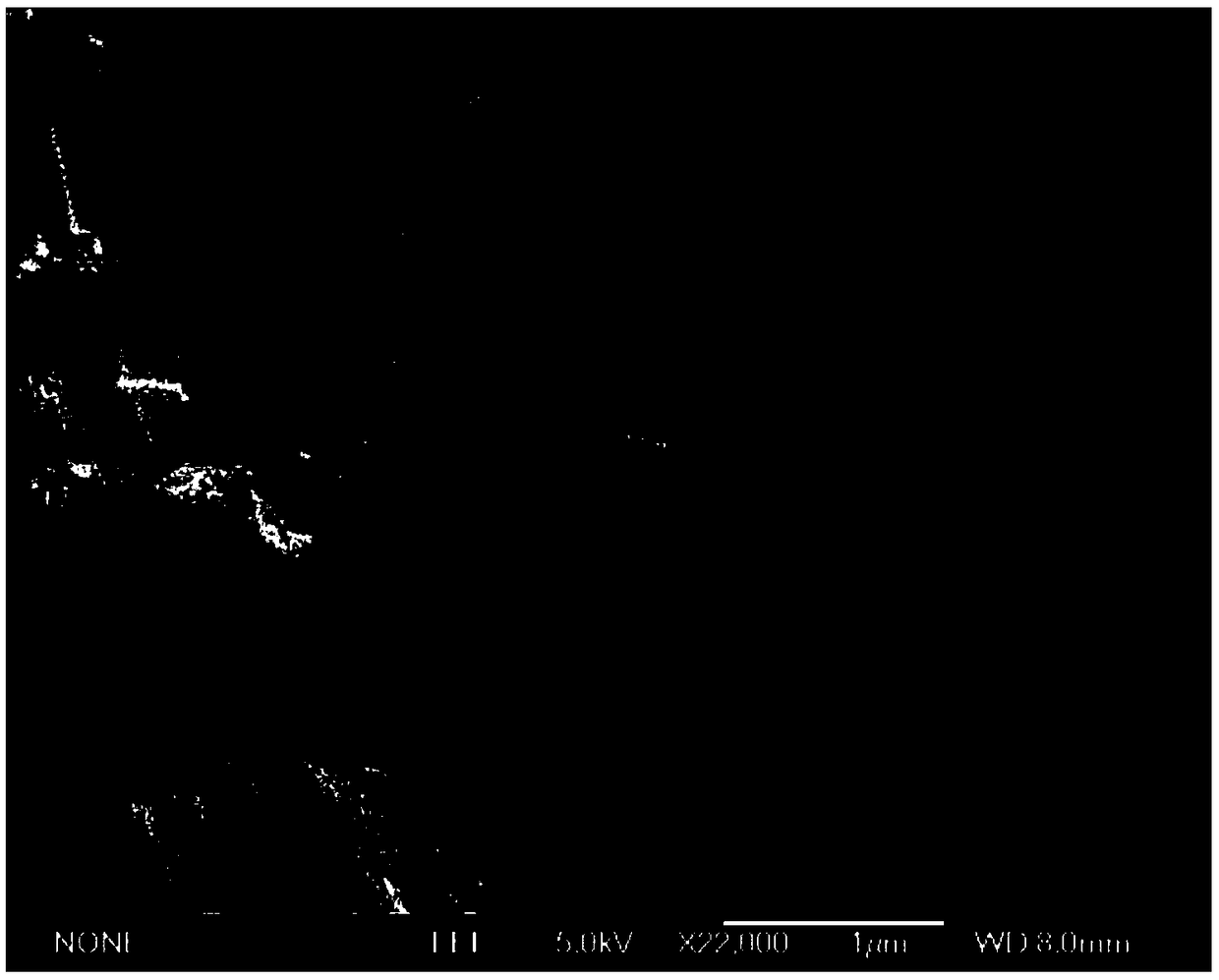 Method for determining AA content in mouse cerebrospinal fluid by using RhB@MOF-5 composite material