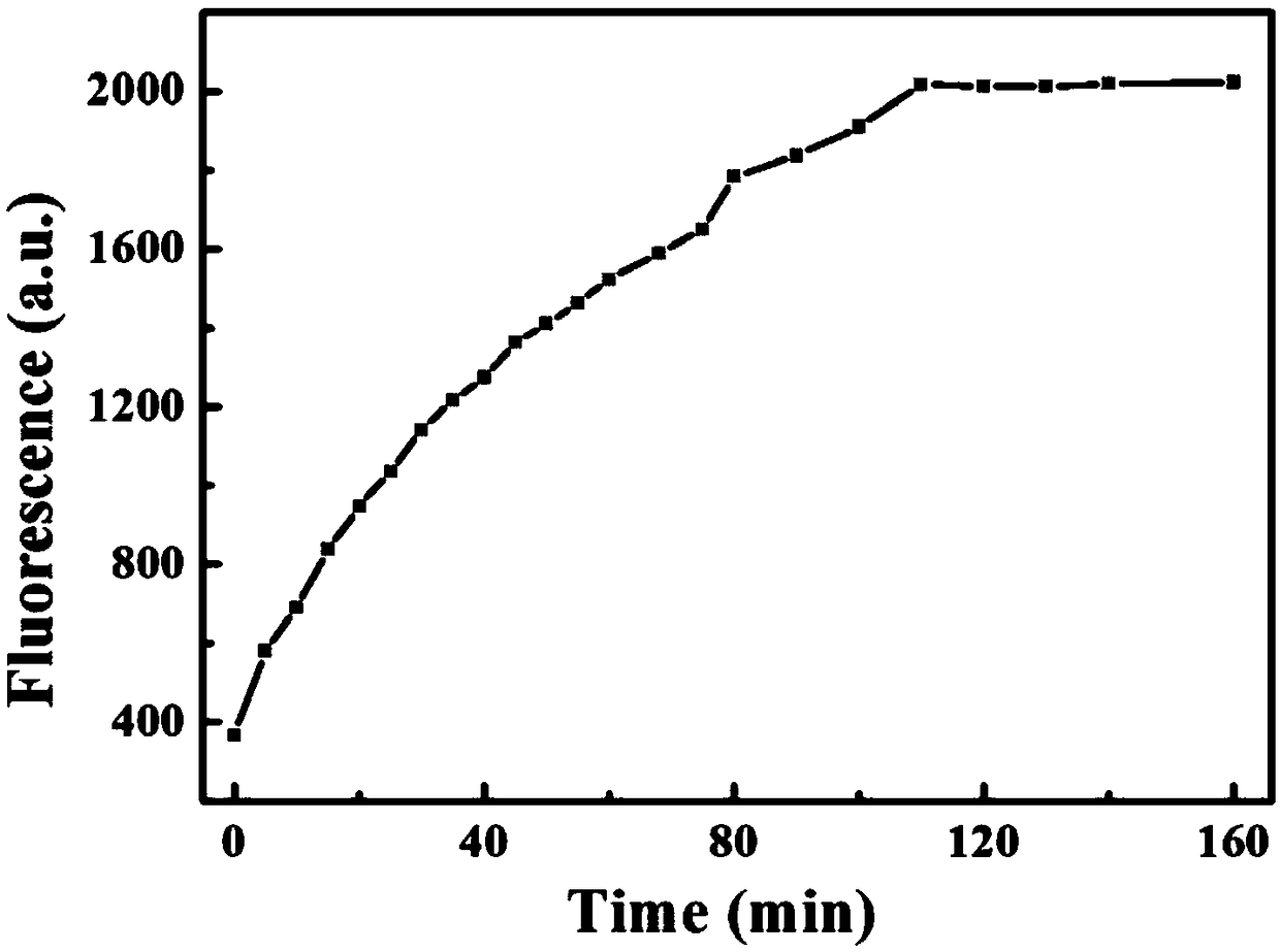 Method for determining AA content in mouse cerebrospinal fluid by using RhB@MOF-5 composite material