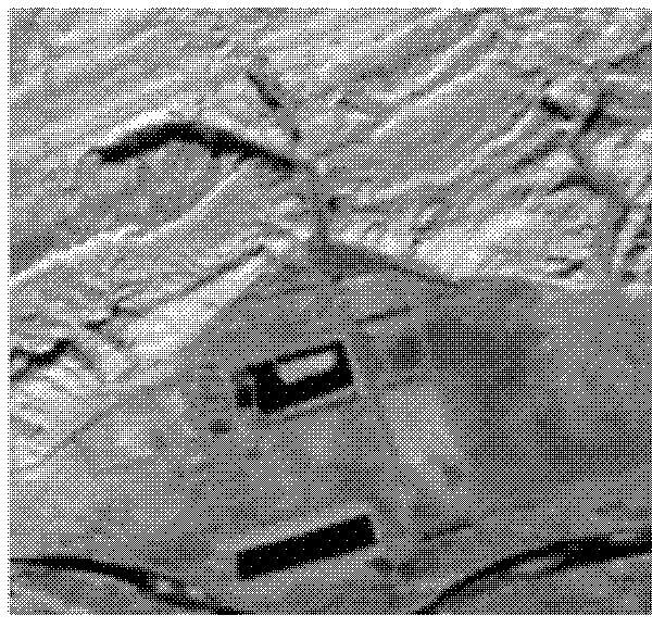 SFS (Shape From Shading) three-dimensional reconstruction sparse-DEM (Digital Elevation Model) encrypting method considering surface spectral information