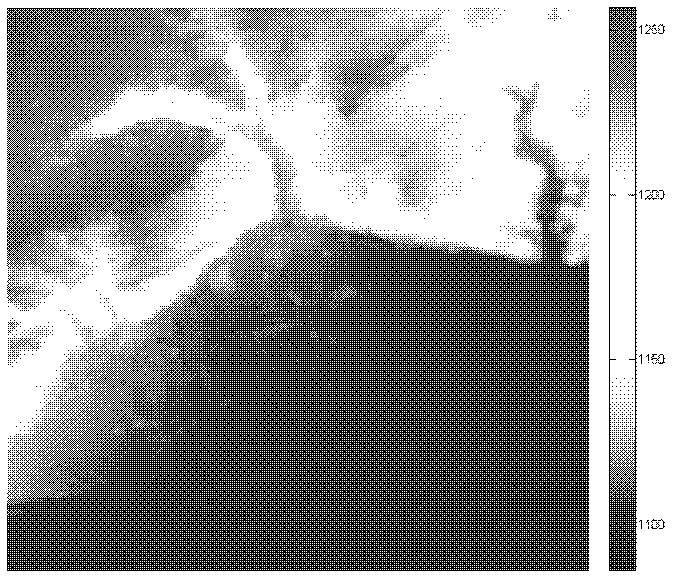 SFS (Shape From Shading) three-dimensional reconstruction sparse-DEM (Digital Elevation Model) encrypting method considering surface spectral information