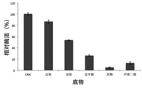 Alkaline cellulase, and DNA (deoxyribonucleic acid) sequence and application thereof