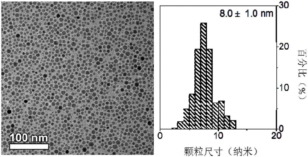 Magnetic resonance/nuclear medicine bimodal molecular imaging probe and preparing method thereof