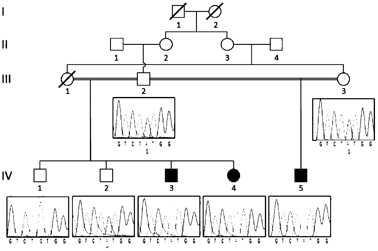 Gene mutation related to microphthalmia and anophthalmos, detection method and use thereof