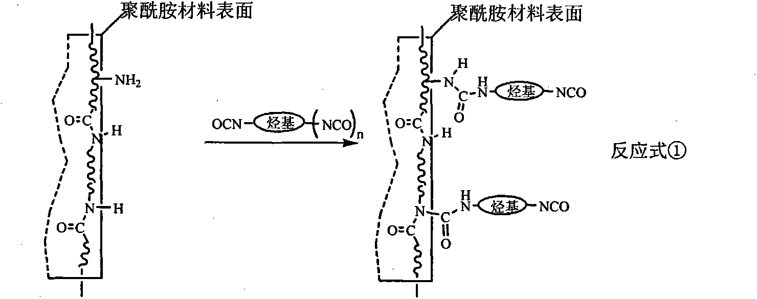 Polyamide material with surface modified with quaternary ammonium salt and salicylaldehyde functional groups and preparation method of polyamide material