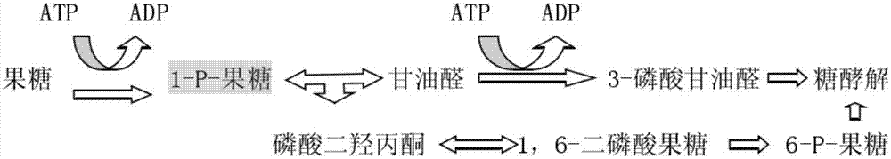 Vaginal nutrient solution used for improving sperm fertilizing ability and further improving natural fertilization rate and preparation method of vaginal nutrient solution