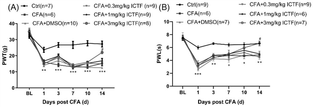 Application of trifluoroicaritin in preparation of medicine for improving pain, swelling and movement functions