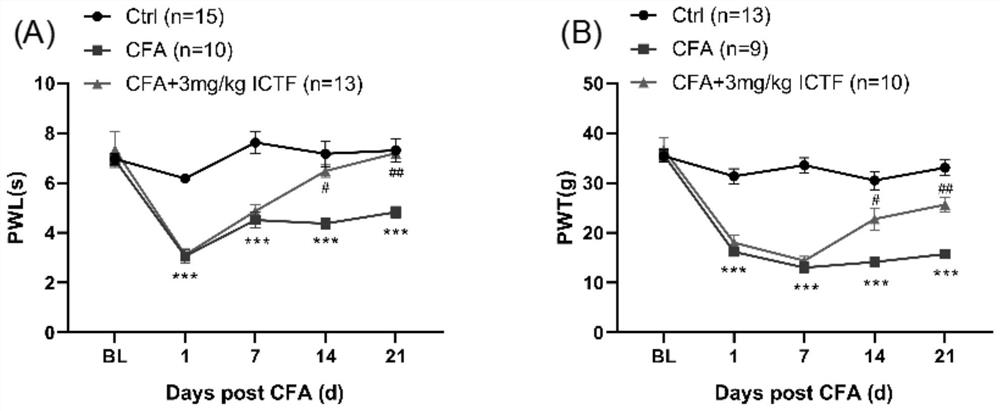 Application of trifluoroicaritin in preparation of medicine for improving pain, swelling and movement functions