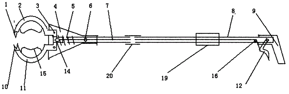 Handheld Chinese torreya fruit picker with sighting telescope