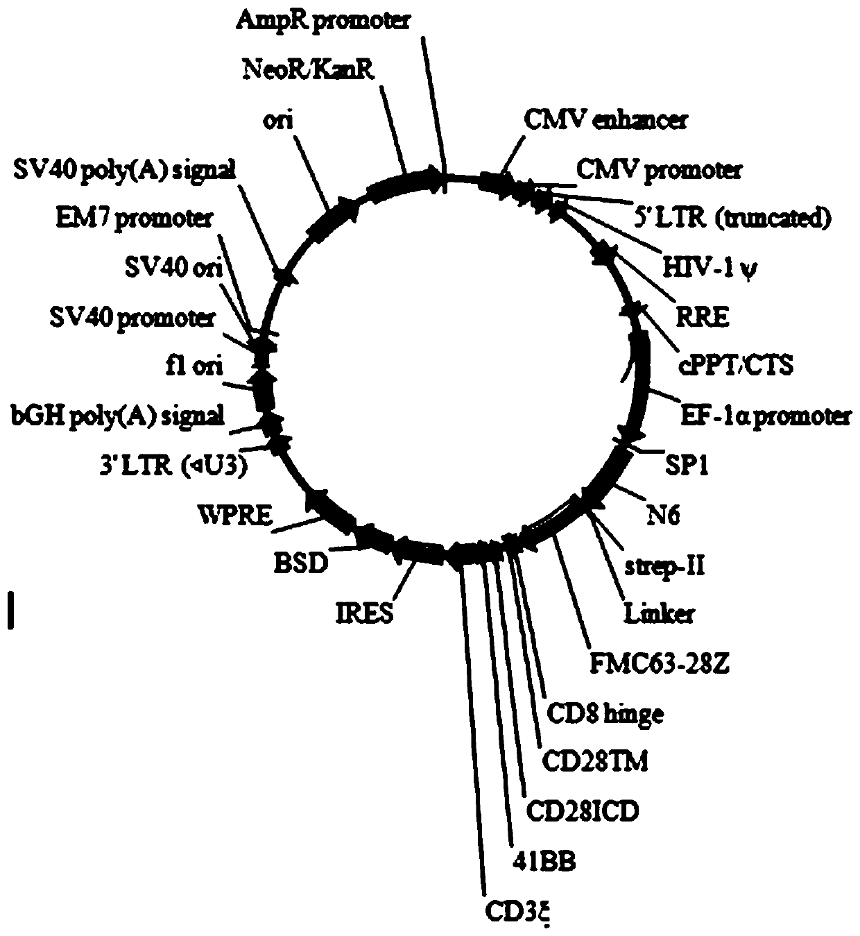 Bispecific chimeric antigen receptor for treating hematologic tumor complicated with HIV infection, gene thereof, and construction method and application of gene