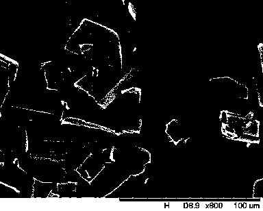 Crystallization method of cephalosporins