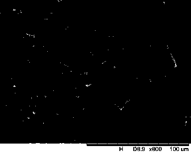 Crystallization method of cephalosporins