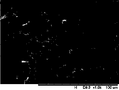 Crystallization method of cephalosporins