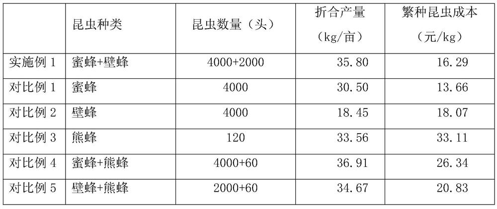 A method for increasing yield of facility cabbage hybrid seed production