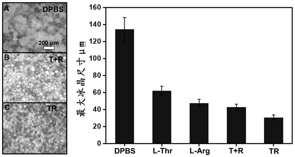 Application of cryopreservation solution containing peptide compound in cryopreservation of organs and tissues