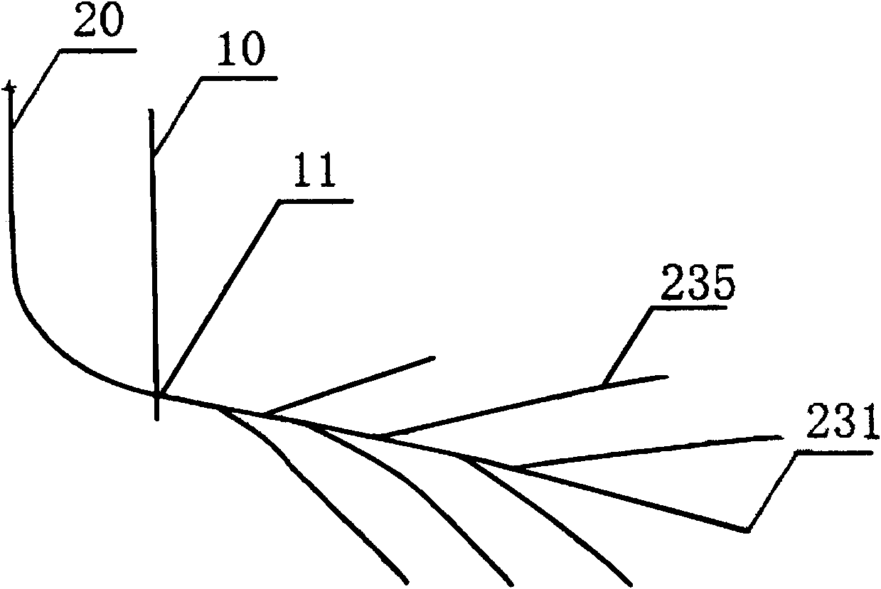 Distributed structure of horizontal section of multi-branch horizontal coal bed methane well