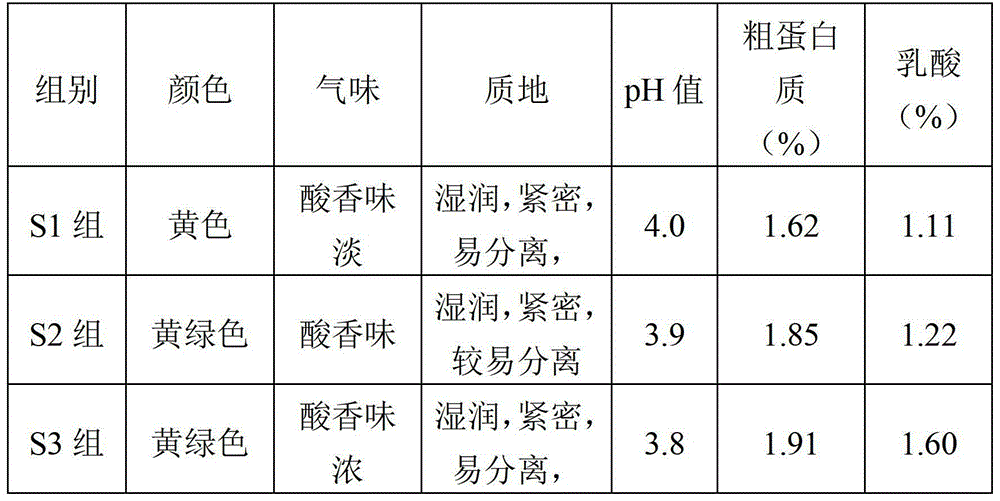 Method for preparing silage by using sweet sorghum