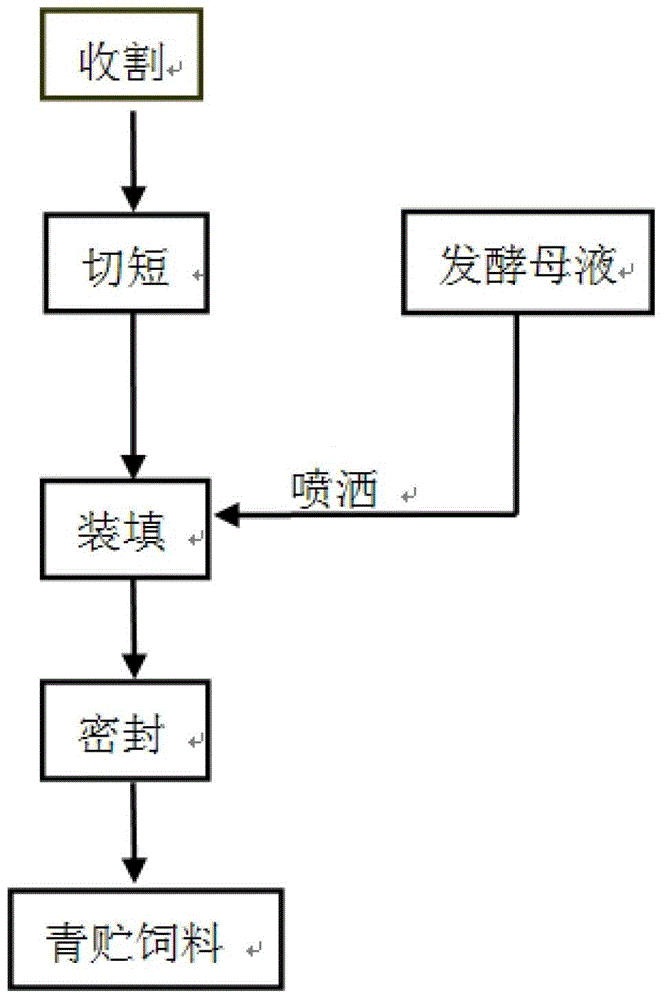 Method for preparing silage by using sweet sorghum