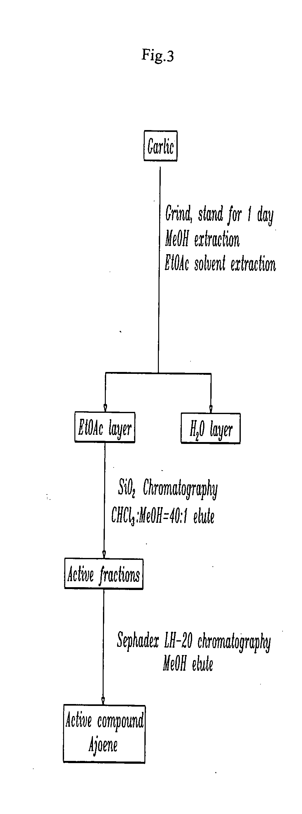 Method of using ajoene as alcohol dehydrogenase inhibitor, composition for removing hangover comprising ajoene and method of preparing the same