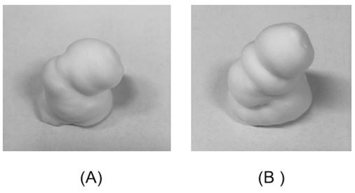 A kind of selenium disulfide foam agent for shampooing and preparation method thereof