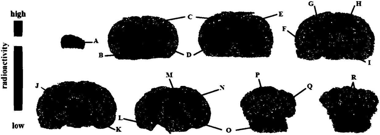 Tetrahydroxyfurfurylpiperazine compound binding to sigma-1 receptor, its preparation method and application