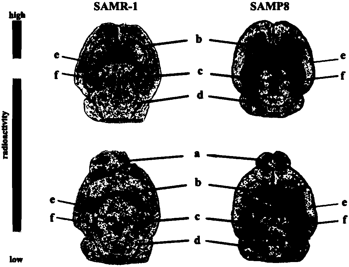 Tetrahydroxyfurfurylpiperazine compound binding to sigma-1 receptor, its preparation method and application