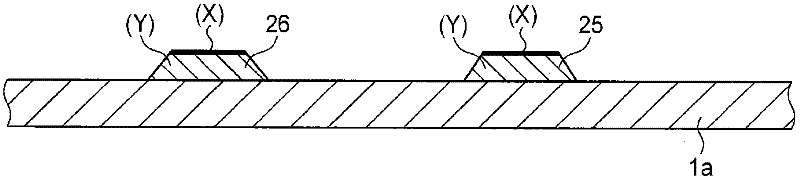 display device