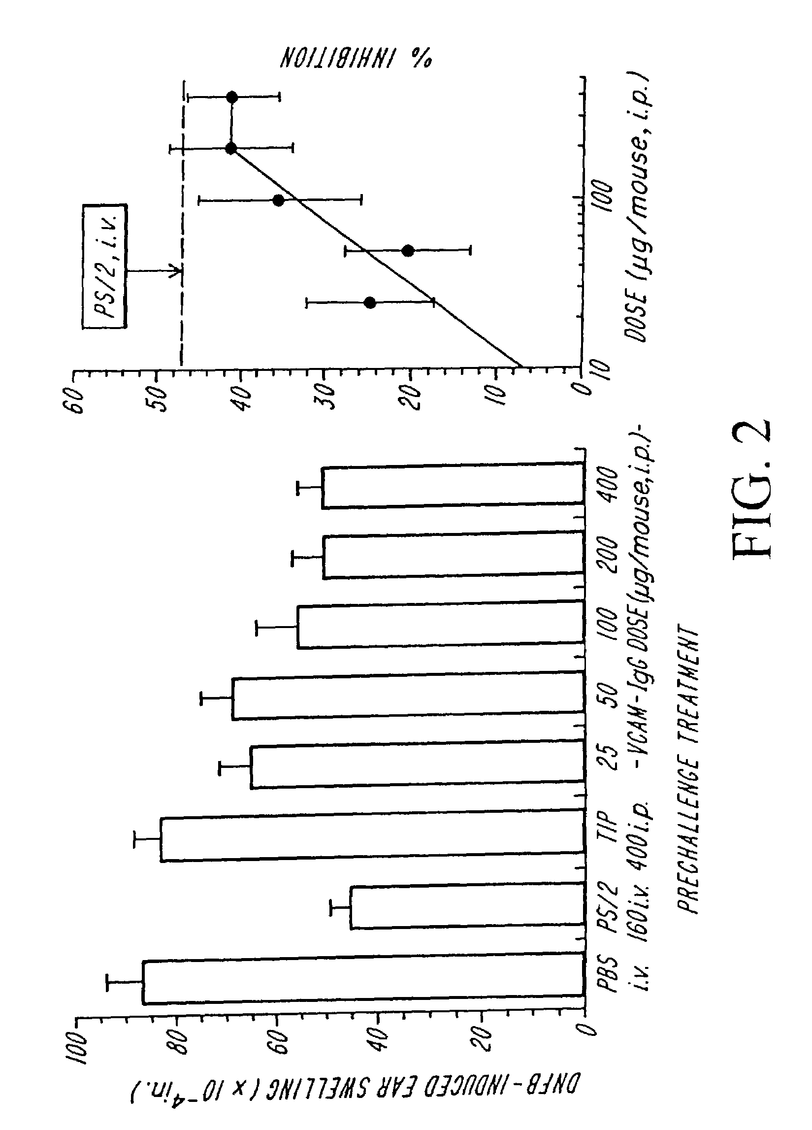 Treatment for inflammatory bowel disease with a fibronectin polypeptide