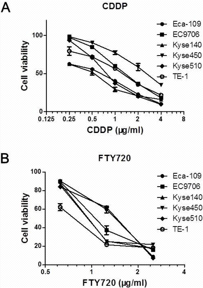 Medicinal composition for treating esophagus cancer and application thereof