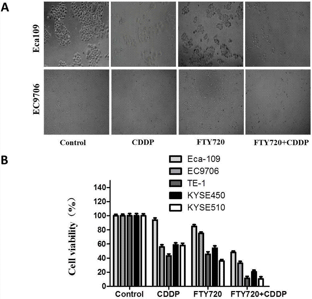 Medicinal composition for treating esophagus cancer and application thereof