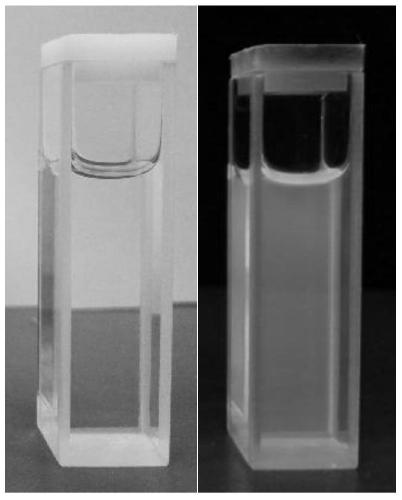 Preparation method of isoquinolinone derivative