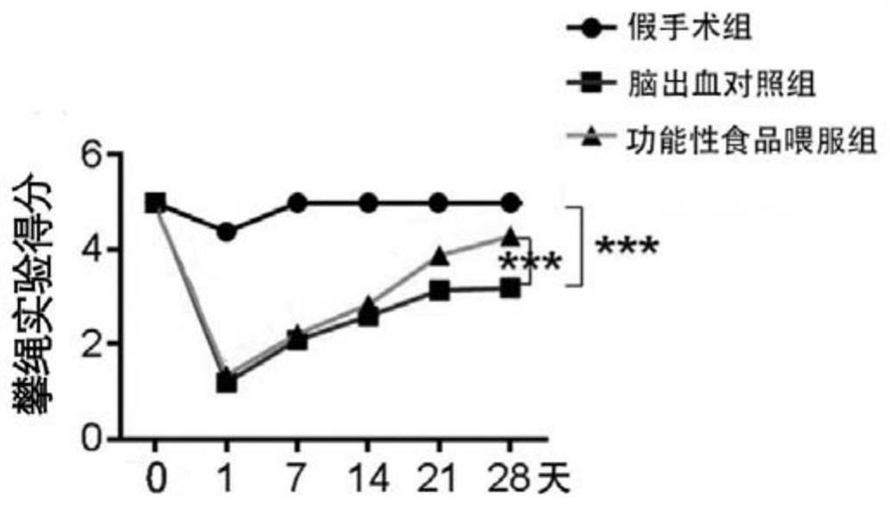 Functional formula food and application thereof in preparation of medicine for preventing and treating secondary brain injury after cerebral hemorrhage