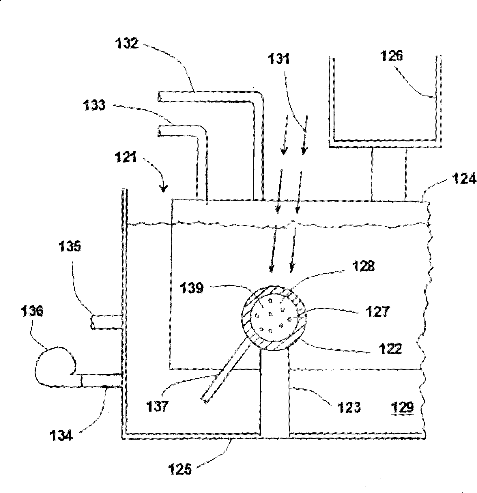 System and method for growing photosynthetic cells