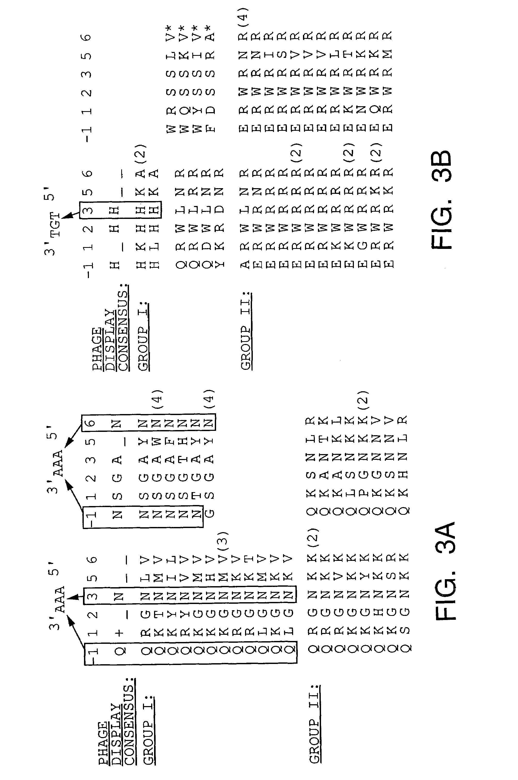 Methods and compositions for interaction trap assays