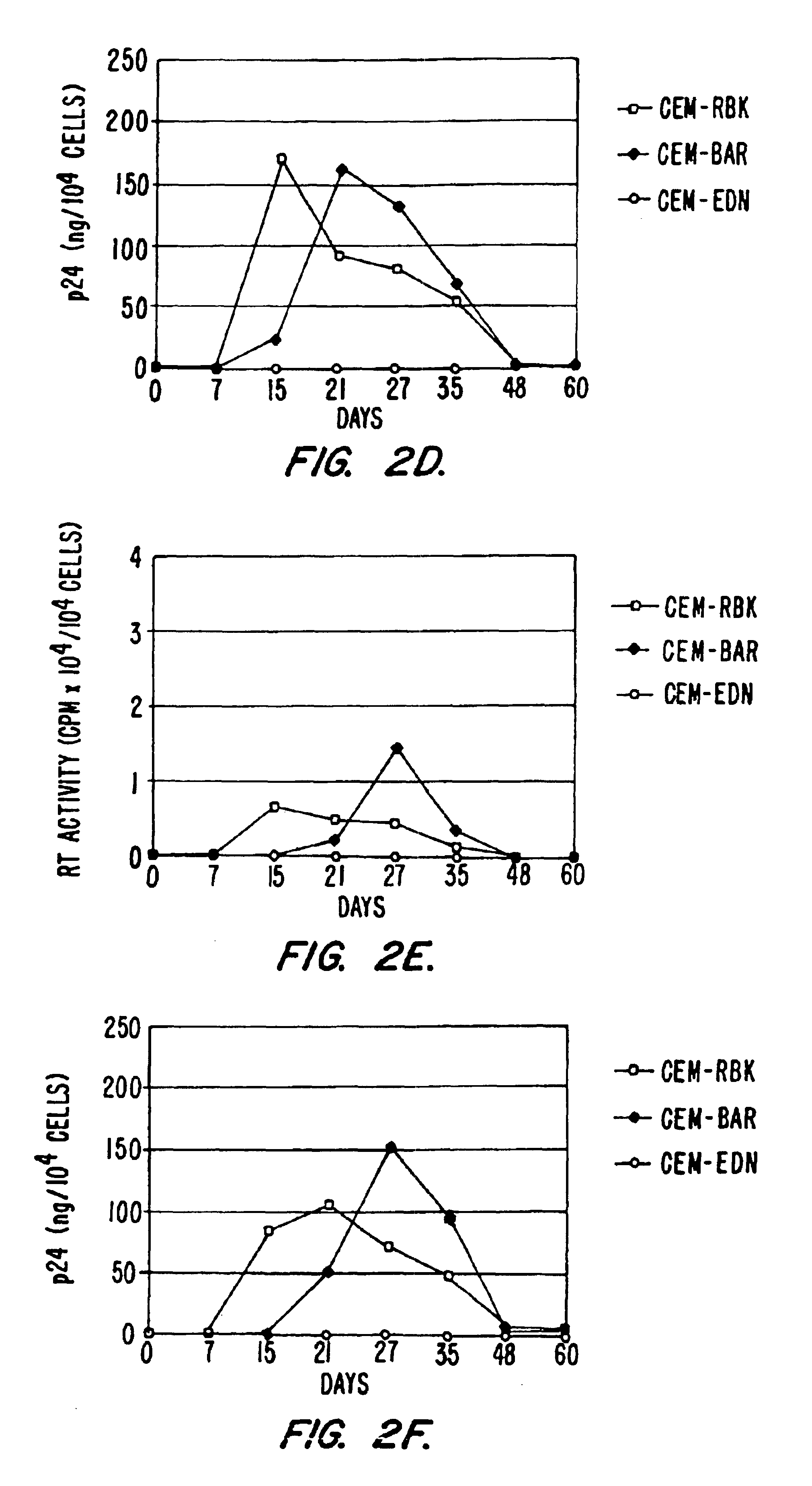 Vectors for delivering viral and oncogenic inhibitors