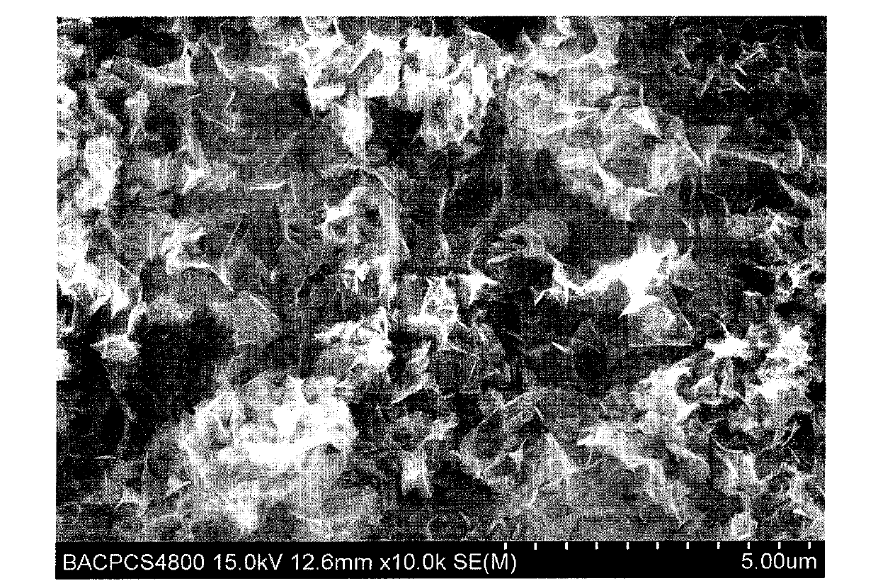 Method for preparing nitrogen-rich porous carbon material