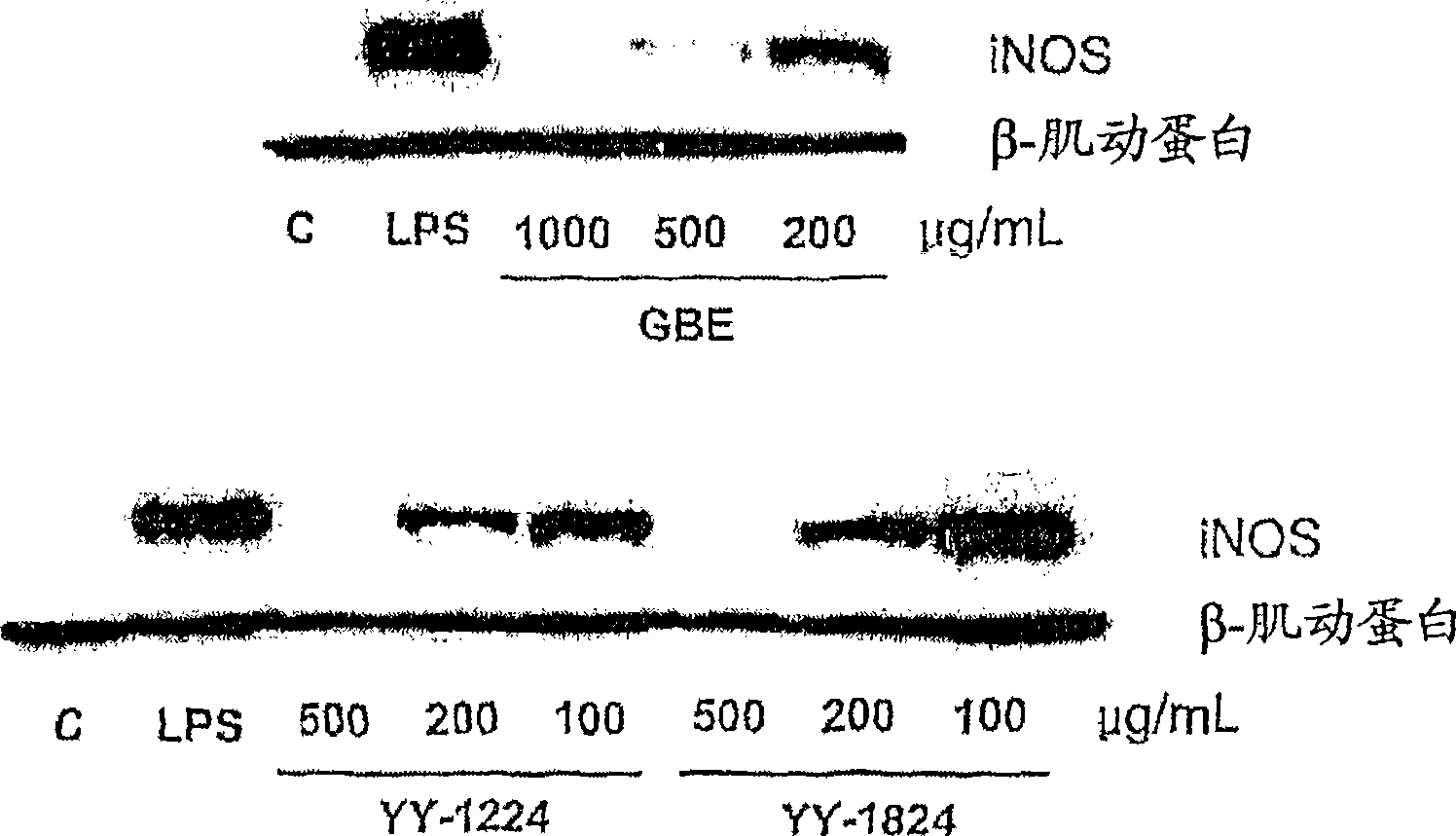 Ginkgo biloba leaf extract having novel composition useful for prevention or treatment of alzheimer's disease and parkinson's disease, and extracting and purifying method thereof