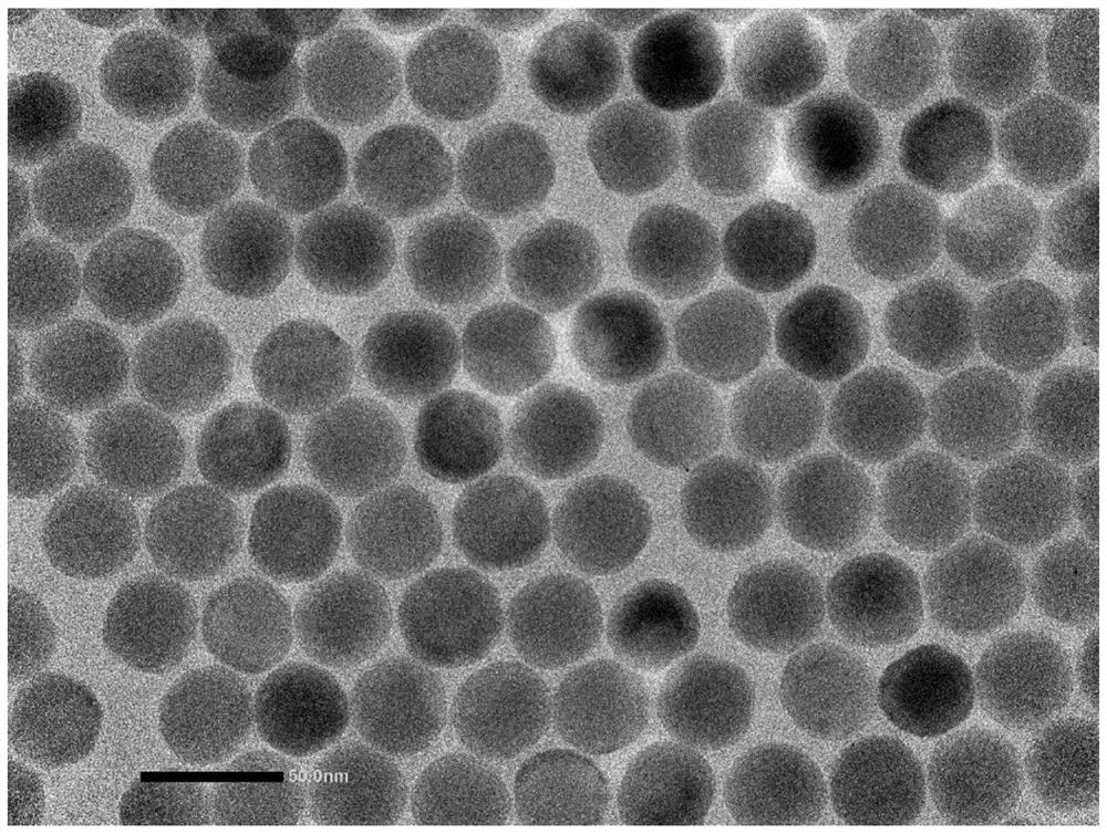 A rare earth nanomaterial containing polystyrene shell and its biocoupling and application