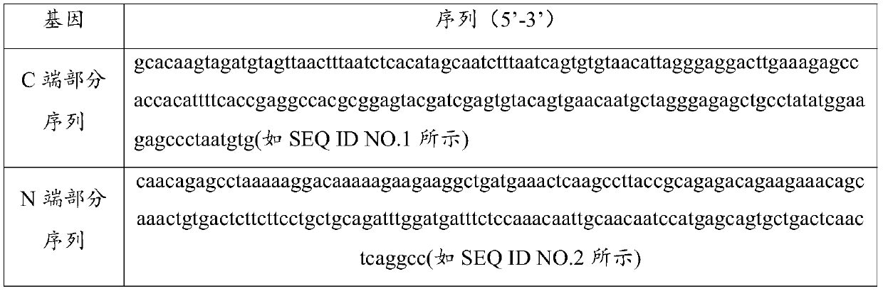 Novel coronavirus detection kit based on Crisper