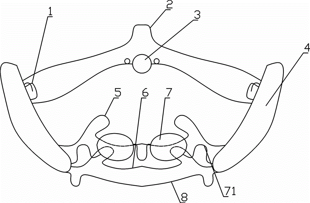 Functional regulator for mouth