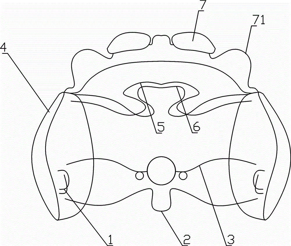 Functional regulator for mouth