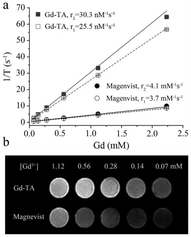 A kind of small-sized gadolinium-polyphenol polymer nanoparticle and its preparation method and application