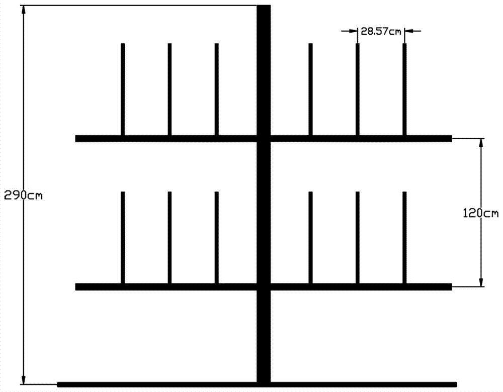 'Four-arm hedge-frame-shaped' pear tree form and shaping method