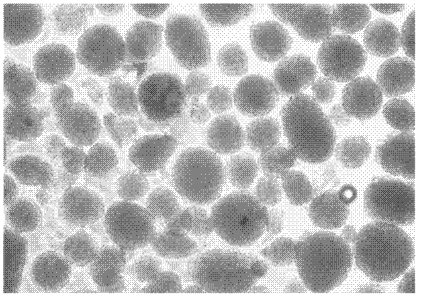 In-vitro induced pancreas-islet-like structure forming method